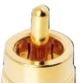 AudioQuest® Female F to Male RCA Adaptor-1