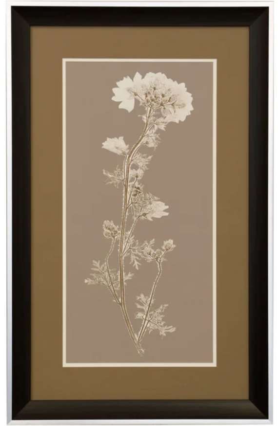 StyleCraft Natural Study Dark Brown/Taupe Wall Art-0