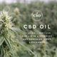 Malouf® Z™ Zoned ActiveDough™ + CBD Oil Queen Bed Pillow-3