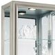 Pulaski™ PFC Platinum Silver Curio-1
