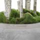 Uttermost® Aldis Aged Stone/Faux Moss Potted River Birch-3
