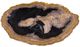 A & B Home Black/Brown Decorative Plate -0