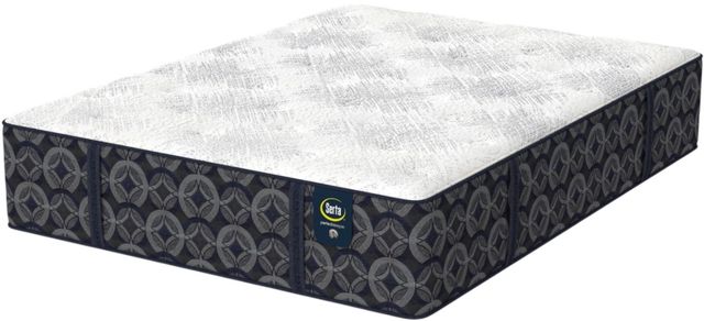 Serta® Perfect Sleeper® Vision 14.5" Innerspring Medium Tight Top Twin Mattress-2