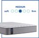 Sealy® Posturepedic® Lavina II Innerspring Medium Tight Top Queen Mattress-4
