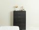 VIG Furniture Modrest Manchester Brass/Dark Gray Chest-4