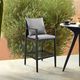Armen Living Cayman Black/Gray Aluminum/Fabric/Rattan Outdoor Counter Stool-1