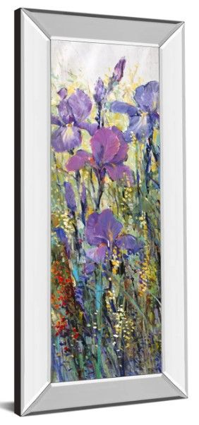 Classy Art Iris Field I by Tim Otoole Mirror Framed Wall Art-1