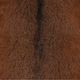 Dovetail Furniture Clay 2-Piece Brown Dining Chair Set-5