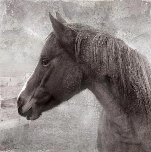 Classy Art Vintage View II by Carol Robinson Wall Art-0