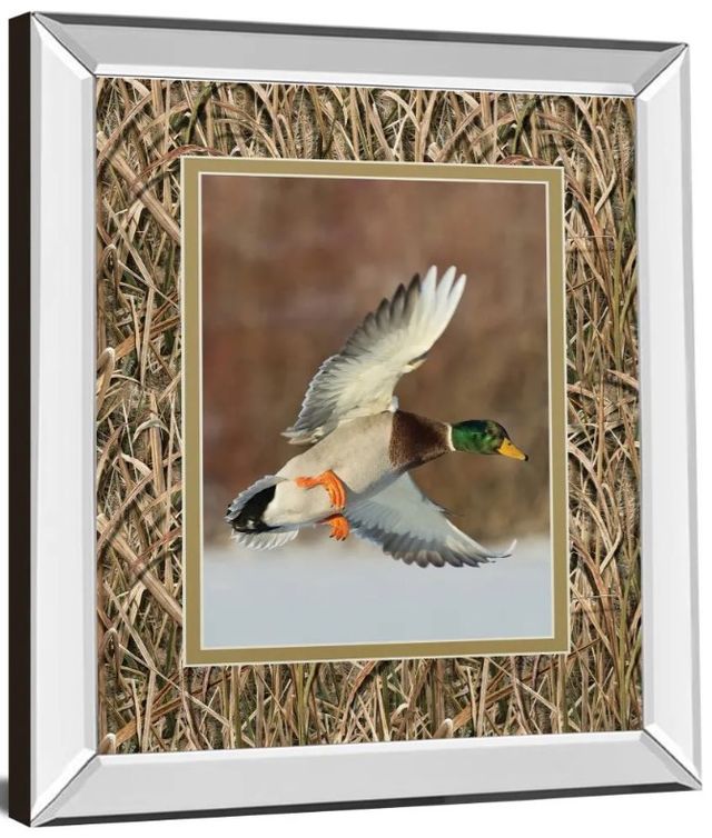 Classy Art Flying Mallard by Steve Oehlenschlager Mirror Framed Wall Art-1