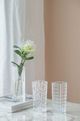 A & B Home Clear 7" Vase-4