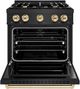 ZLINE Classic Autograph Edition 30" Black Stainless Steel Pro Style Dual Fuel Range with Polished Gold Accents-1