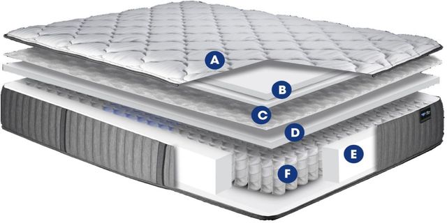 Spring Air® Back Supporter Isabel 12" Hybrid Plush Tight Top Queen Mattress-3