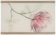 Hooker® Furniture Susan G. Komen Glass Top Blossoming Hope Cocktail Table with Gold Base-3