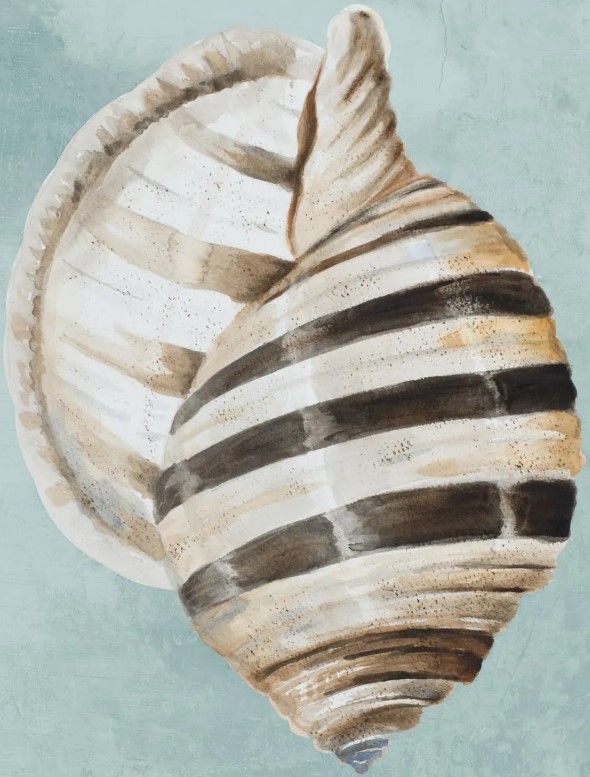 Classy Art Modern Shell on Teal I by Patricia Pinto Wall Art-1