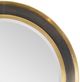 Century® Grand Tour Furniture Evans Bronze/Gold Mirror-1
