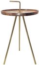 A & B Home Becket Brown Tray Top Side Table with Gold Stand-1