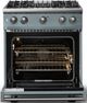 Viking® 5 Series 30" Novembery Sky Pro Style Gas (NG) Range with Polished Chrome Trim-1