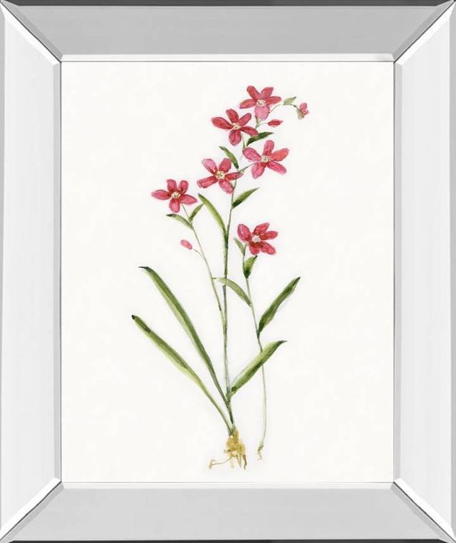 Classy Art Delicate Pink I by Sally Swatland Wall Art-0