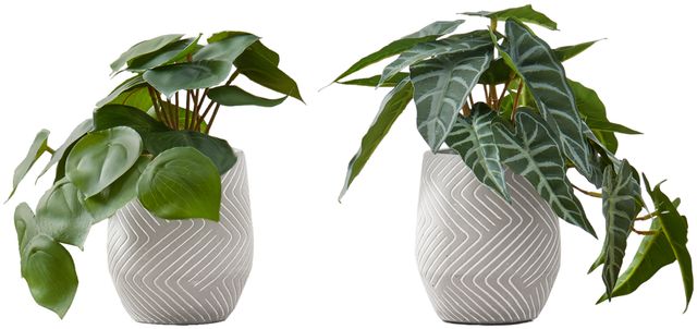 Monarch Specialties Inc. 2-Piece Grey 8" Tall Artificial Potted Alocasia-0