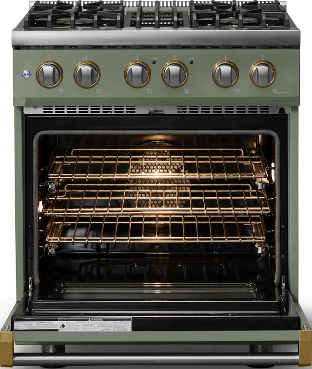 Viking® 5 Series 30" Eucalyptus Pro Style Dual Fuel (NG) Range with Brushed Brass Trim-1
