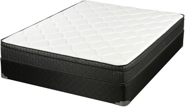 Coaster® Evie 9.25" Hybrid Euro Top Queen Mattress-0