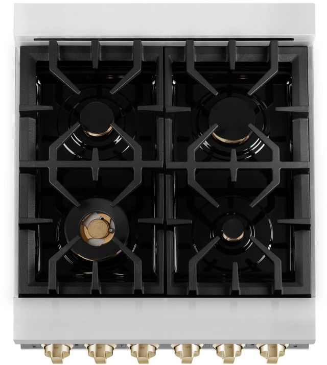 ZLINE Autograph Edition 24" Stainless Steel Pro Style Dual Fuel Range with Polished Gold Accents-2