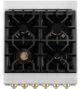ZLINE Autograph Edition 24" Stainless Steel Pro Style Dual Fuel Range with Polished Gold Accents-4