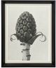 Stylecraft Plant 5 Blossfeldt Wall Art-0