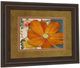 Classy Living Amber Blossom Wall Art-1
