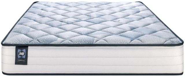 Sealy® Essentials™ Dwayne Memory Foam Extra Firm Tight Top Twin Mattress-3
