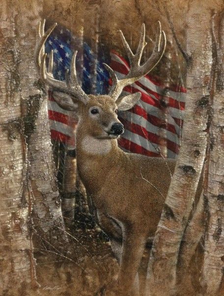 Classy Art Whitetail Buck by Collin Bogle Wall Art-0