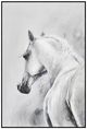 Crestview Collection Steed Light Gray Wall Art-0