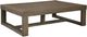 Signature Design by Ashley® Cariton Gray Rectangular Cocktail Table-0