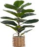 Monarch Specialties Inc. Green/Natural 28" Tall Artificial Potted Fiddle Tree-0