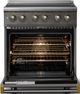 Viking® 5 Series 30" Damascus Gray Pro Style Induction Range with Brushed Brass Trim-1