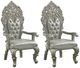 ACME Furniture Sandoval 2-Piece Champagne Arm Chair Set-0