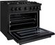 ZLINE Select 36" Black Stainless Steel Pro Style Gas Range-3