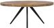 Moe's Home Collection Parq Cappuccino Oval Dining Table with Black Iron Base-0