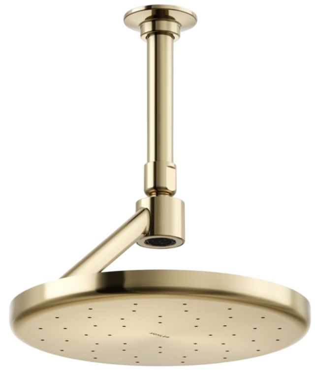 KOHLER® Statement® Vibrant French Gold 2.5 GPM Open Rain Iconic Single-Function Rainhead-0