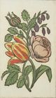 Stylecraft Vintage Floral III Wall Art-1