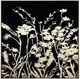 Classy Living Dramatic Botanical Noir Glow Wall Art-0