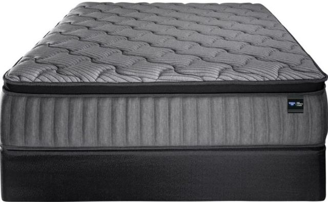Spring Air® Back Supporter Josie 12.5" Hybrid Plush Pillow Top Queen Mattress-2