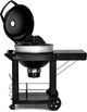 Napoleon PRO 46" Black Portable Charcoal Grill-1