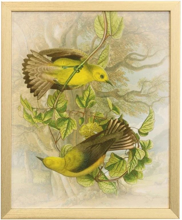 Stylecraft Tamara Day for Stylecraft Naturalist Archive V Wall Art-0