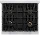 ZLINE Classic Series Autograph Edition 30" Stainless Steel Pro Style Dual Fuel Range with Matte Black Accents-1