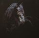 StyleCraft Black Horse Wall Art-1