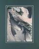 Classy Living Natalie Sizemore Sage Advice Abstract II Wall Art-1