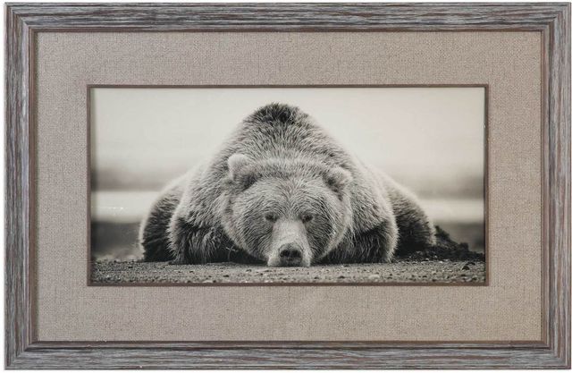 Uttermost® Ph Burchett Deep Sleep Framed Print-0