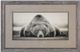 Uttermost® Ph Burchett Deep Sleep Framed Print-0